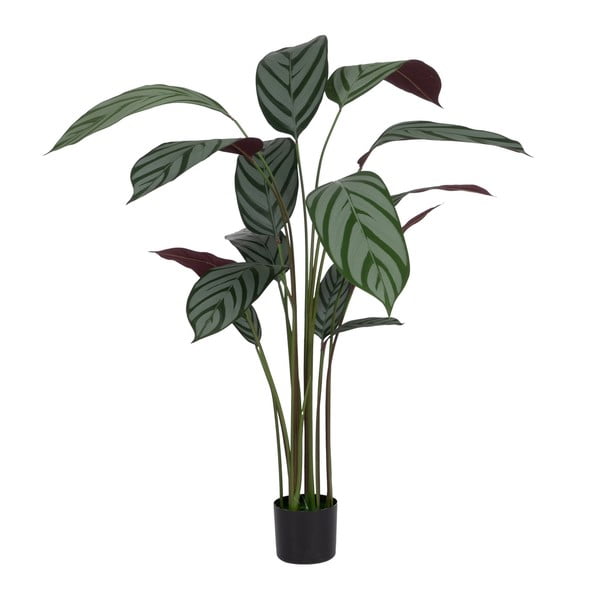 Изкуствено растение (височина 150 cm) Calathea – Ixia