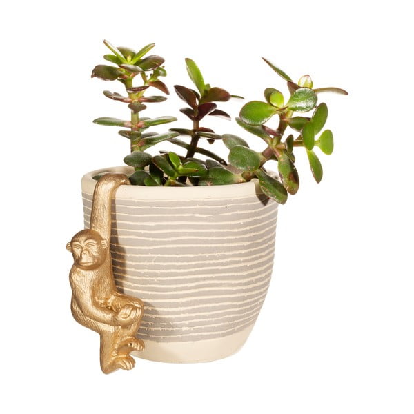 Малка декорация от полирезин Monkey – Sass & Belle-image-2