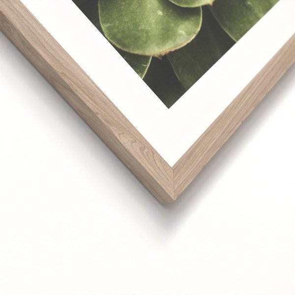 Печатни картини в комплект 2 бр. с включена рамка 30x40 cm Beauty Green – Styler-image-3