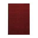 Килим в цвят бордо 120x170 cm Ata – Ayyildiz Carpets