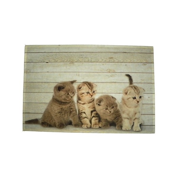 Prostírání Four Kitten British Shorthare 40x30 cm
