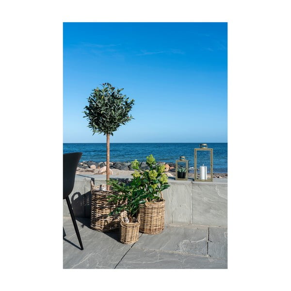 Изкуствено растение (височина 60 cm) Fig – House Nordic-image-3