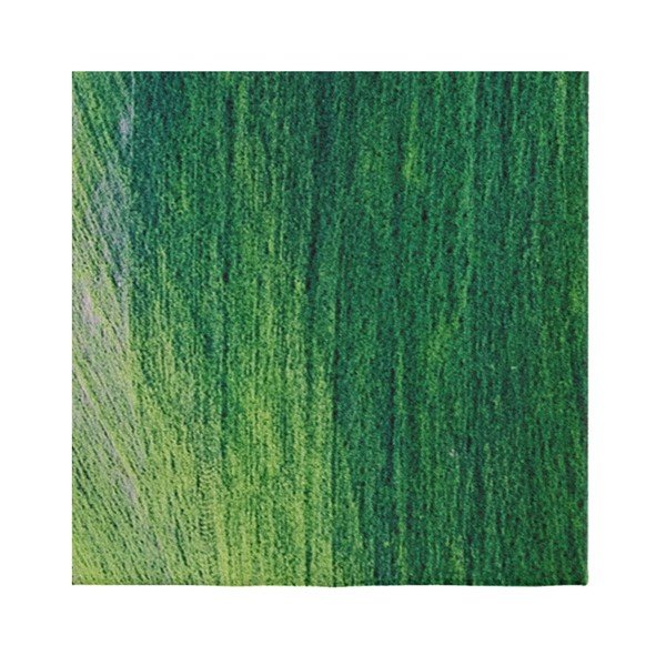 Зелен килим Suzzo Garto, 80 x 150 cm - Oyo home-image-1