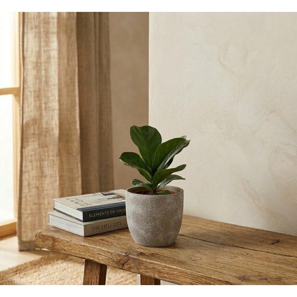 Теракотена саксия за цветя ø 16,5 cm Hector – Bizzotto-image-1