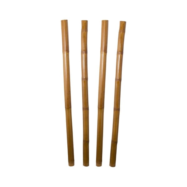 Комплект от 4 декоративни бамбукови пръчки - Santiago Pons