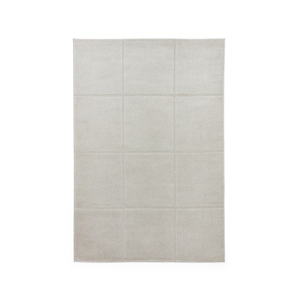 Светлосив килим 120x170 cm Elio Silver – Think Rugs