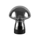 Сива LED настолна лампа със стъклен абажур (височина 18 cm) Dooley – Reality