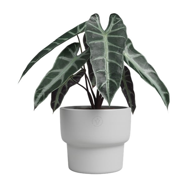 Керамична ръчно изработена саксия за цветя ø 17 cm Echo – Artevasi-image-1