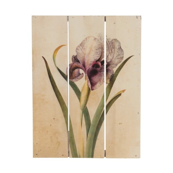 Dřevěný obraz Dijk Natural Collections Orchid, 19x25 cm
