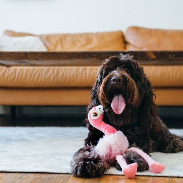 Играчка за куче Фламинго - P.L.A.Y.-image-1