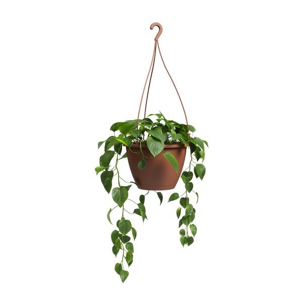 Пластмасова саксия за цветя ø 31 cm Algarve – Artevasi