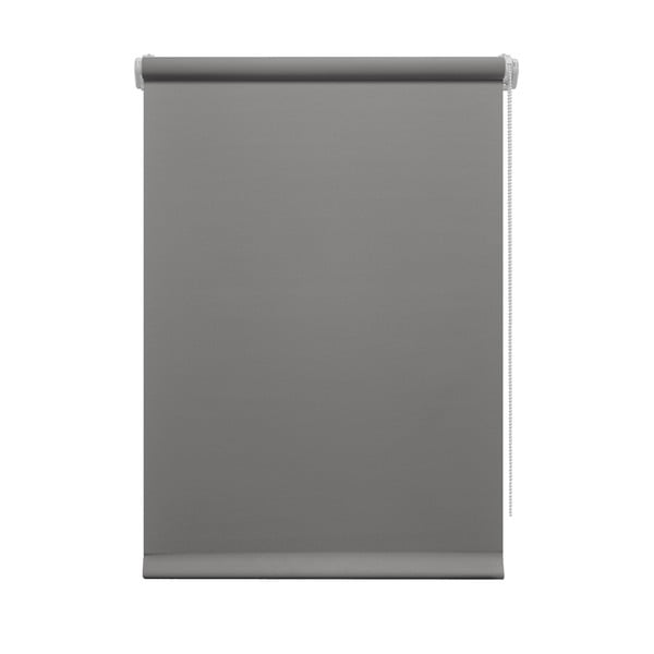 Тъмносива ролетна щора 42,5x150 cm Mini Relax – Gardinia