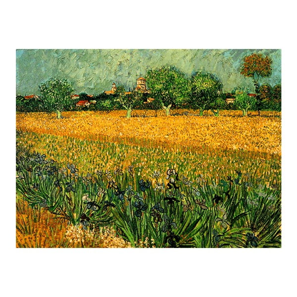 Obraz Vincenta van Gogha - View of arles with irises in the foreground, 60x45 cm