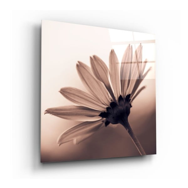 Картина върху стъкло Цвете, 40 x 40 cm Flower Glass - Insigne
