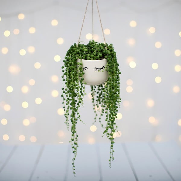 Висяща саксия Eyes Shut - Sass & Belle-image-2