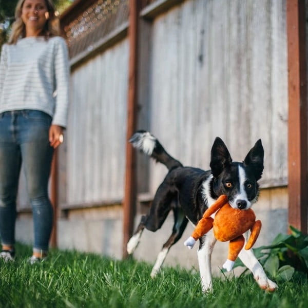 Играчка за куче Турция - P.L.A.Y.-image-1