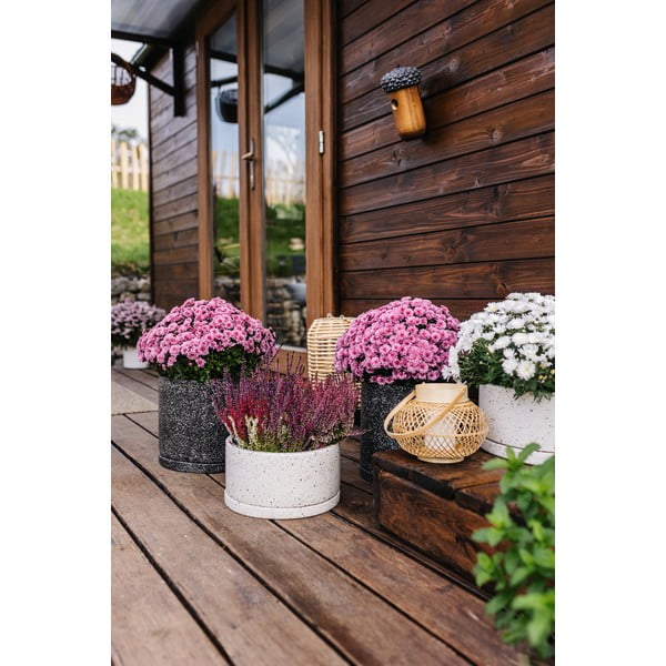 Бетонни саксии в комплект от 2 броя ø 30 cm Terrazzo - Bonami Selection-image-3