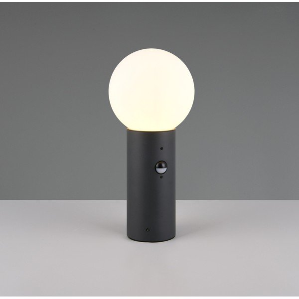 Колонно външно осветително тяло със сензор за движение ø 18 cm Mures – Trio-image-1