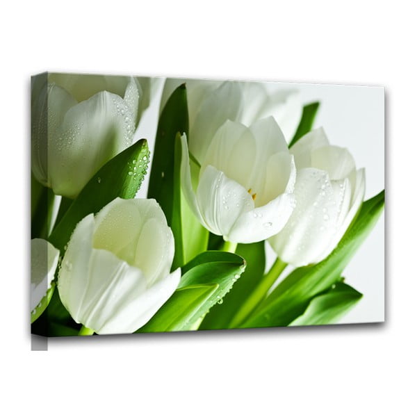 Картина на платно Бели лалета, 60 x 80 cm - Styler
