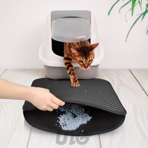 Котешка тоалетна 50x40 cm – Love Story-image-1