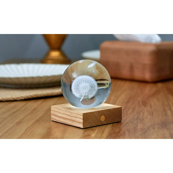 Тъмнокафява светлинна декорация с USB Amber – Gingko-image-4