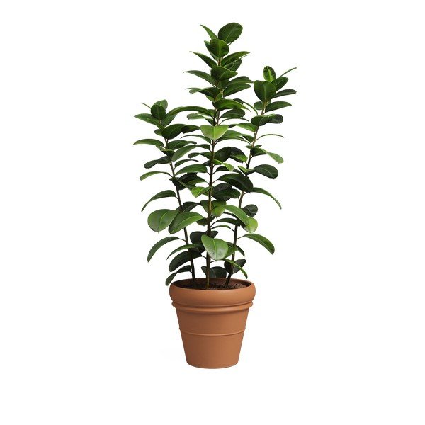 Теракотена саксия за цветя ø 47 cm Mariza – Artevasi-image-4