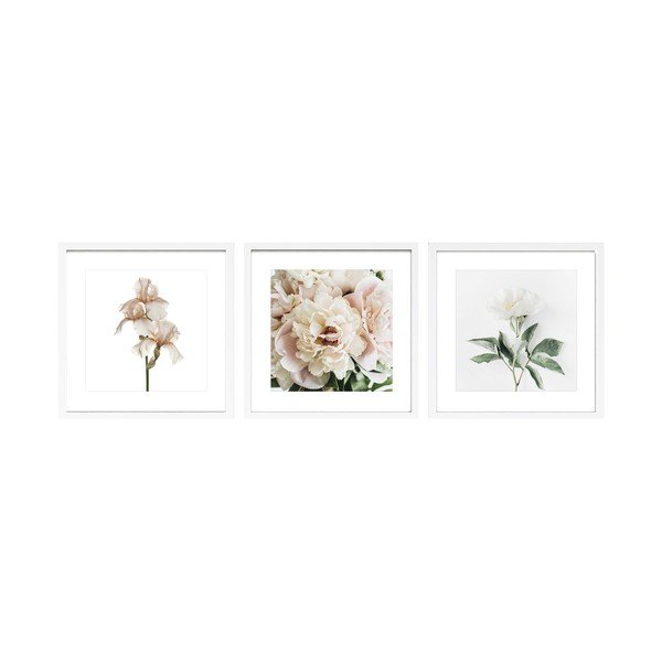 Печатни картини в комплект 3 бр. с включена рамка 30x30 cm Posy – Styler