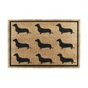 Изтривалка от кокосови влакна 40x60 cm Dachshund – Artsy Doormats