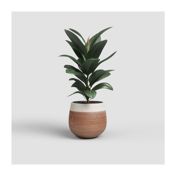 Керамична ръчно изработена саксия за цветя ø 20 cm Antheia – Artevasi-image-1