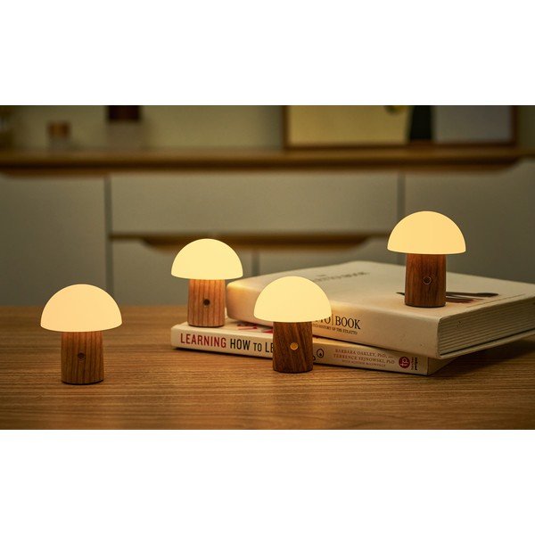 LED затъмняваща се настолна лампа от масивен ясен в естествен цвят (височина 7 cm) Alice – Gingko-image-1