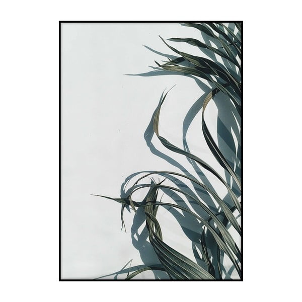 Плакат "Сенки от палми", 40 x 30 cm - Imagioo