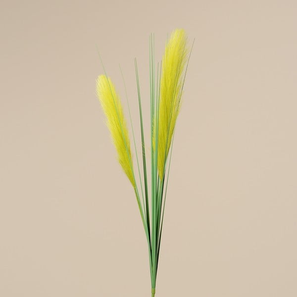 Dekorativní květina Boltze Grass