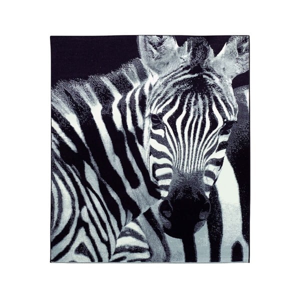 Koberec Safari - zebra, 160x225 cm