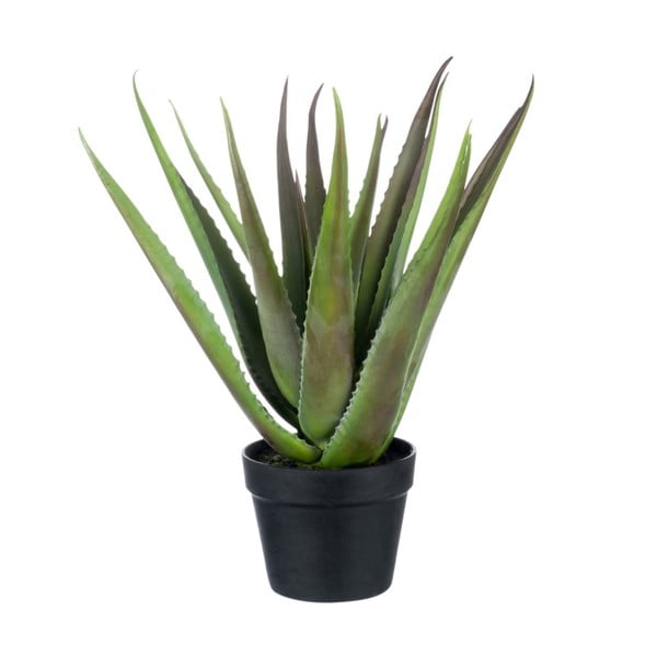 Umělá rostlina J-Line Aloe Vera, výška 50 cm