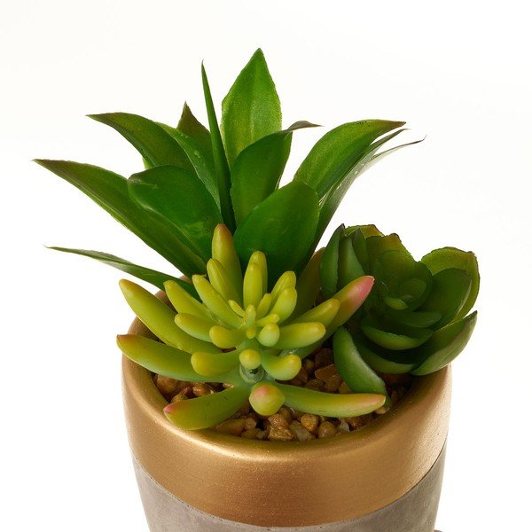 Изкуствени растения в комплект от 4 броя (височина 17 см) Cactus - Casa Selección-image-4