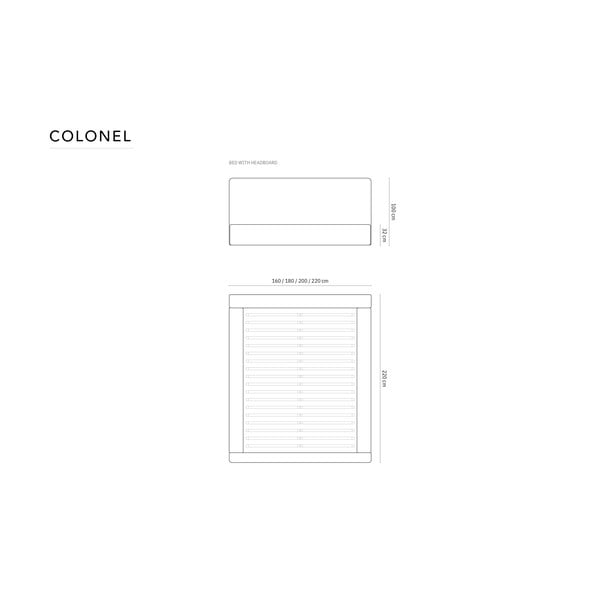 Светлосиво двойно тапицирано легло с място за съхранение с включена подматрачна рамка 140x200 cm Colonel – Cosmopolitan Design-image-4