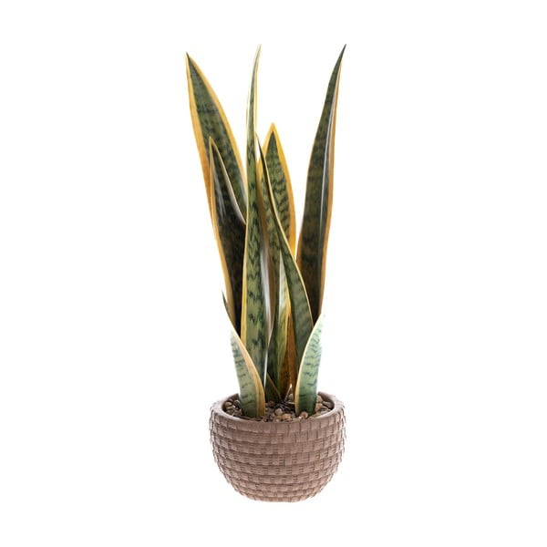 Изкуствено растение (височина 35 cm) – Dakls