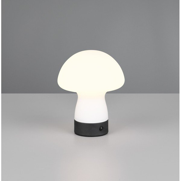 LED настолна лампа в матово бял цвят със стъклен абажур (височина 18 cm) Dooley – Reality-image-1