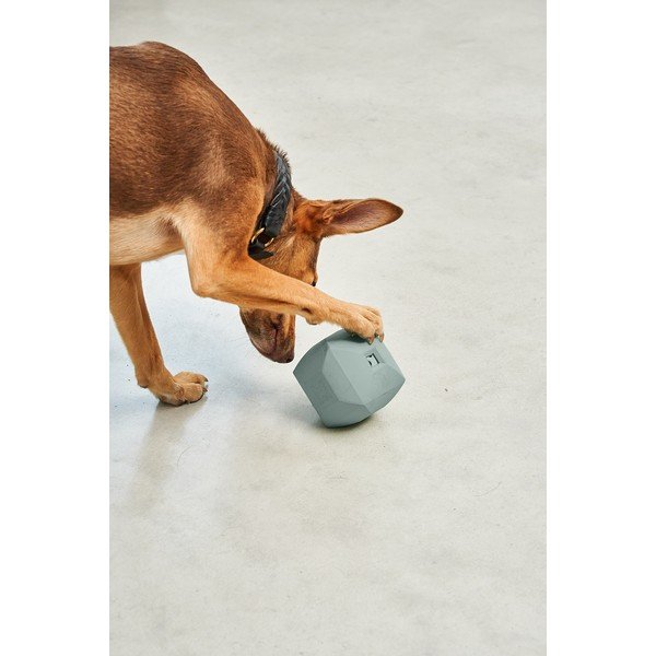 Играчка за куче Dado Eucalyptus – MiaCara-image-2