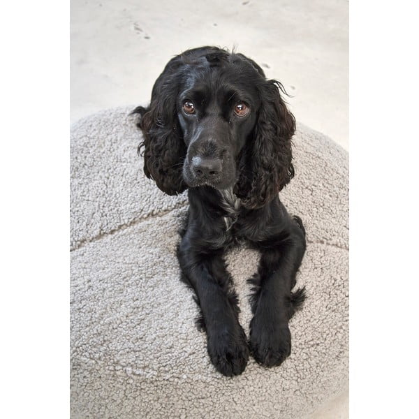 Сиво легло за куче от плат букле ø 90 cm Senso Pouffe Pebble M/L – MiaCara-image-2