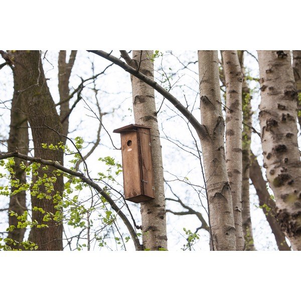Дървена къщичка за птици – Esschert Design-image-1