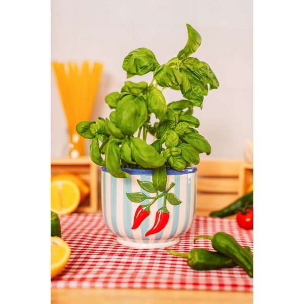 Керамично ръчно рисувано покритие за кашпа ø 12 cm Chilli – Sass & Belle-image-1