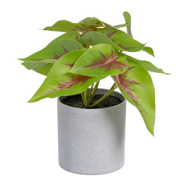 Изкуствено растение (височина 20 cm) Syngonium – Ixia