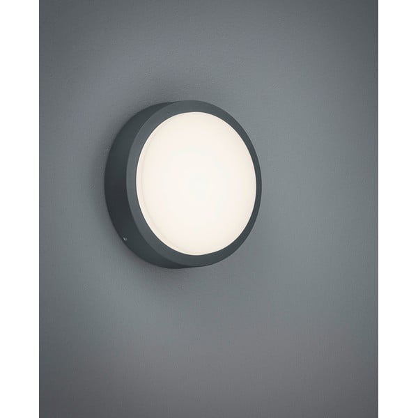 LED външно стенно осветление ø 20 cm Berg - Trio-image-1