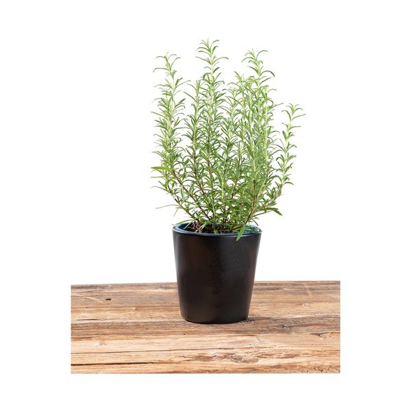 Черен съд , ø 13 cm Black Outdoor Kitchen Kuro - Wenko-image-4