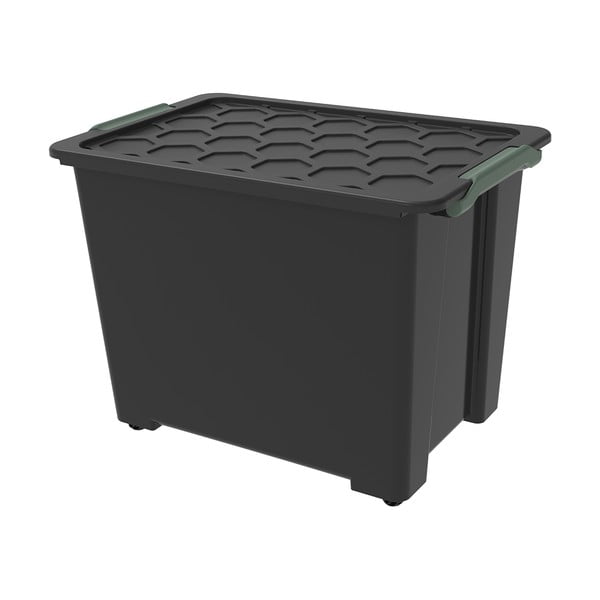 Пластмасова кутия за съхранение с капак Evo Safe - Rotho