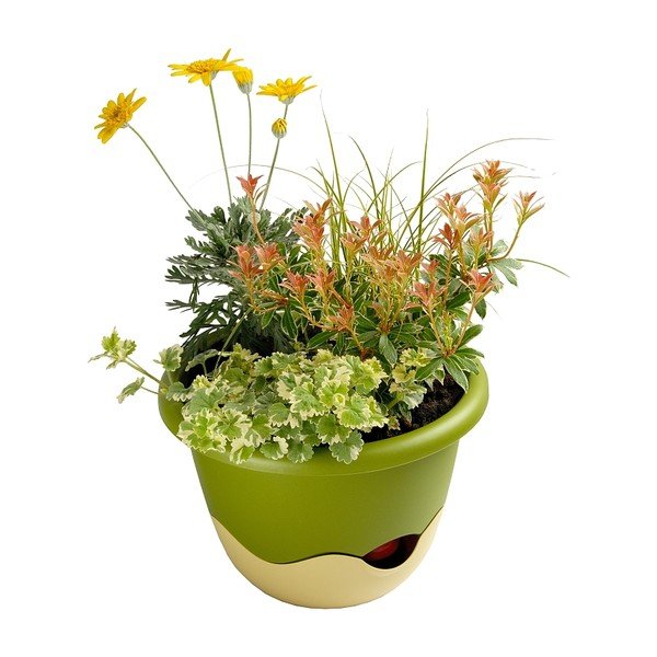 Зелена и бяла самонапояваща се висяща саксия Mareta, дължина 25 cm - Plastia-image-2