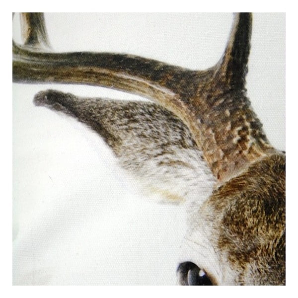 Polštář Deer 50x50 cm-image-1