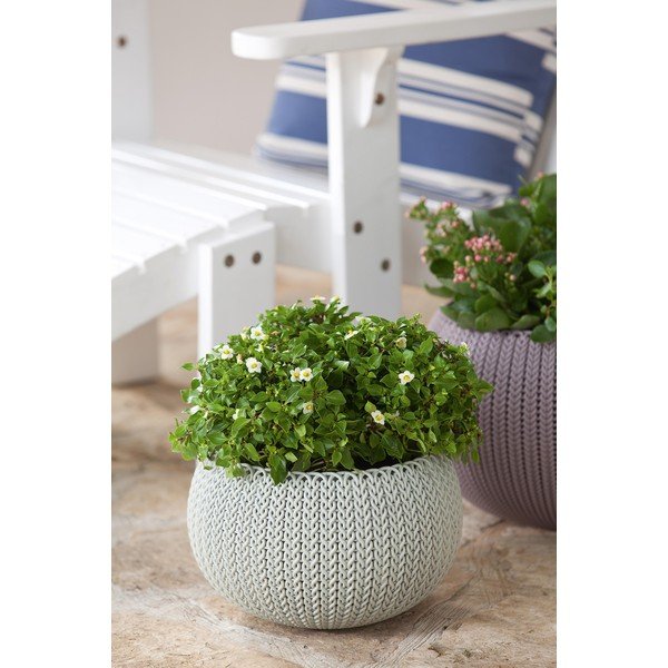 Пластмасова висяща стенна саксия за цветя ø 36 cm Cozy – Keter-image-3