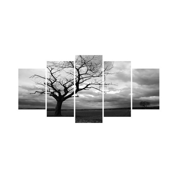 Vícedílný obraz Black&White no. 37, 100x50 cm